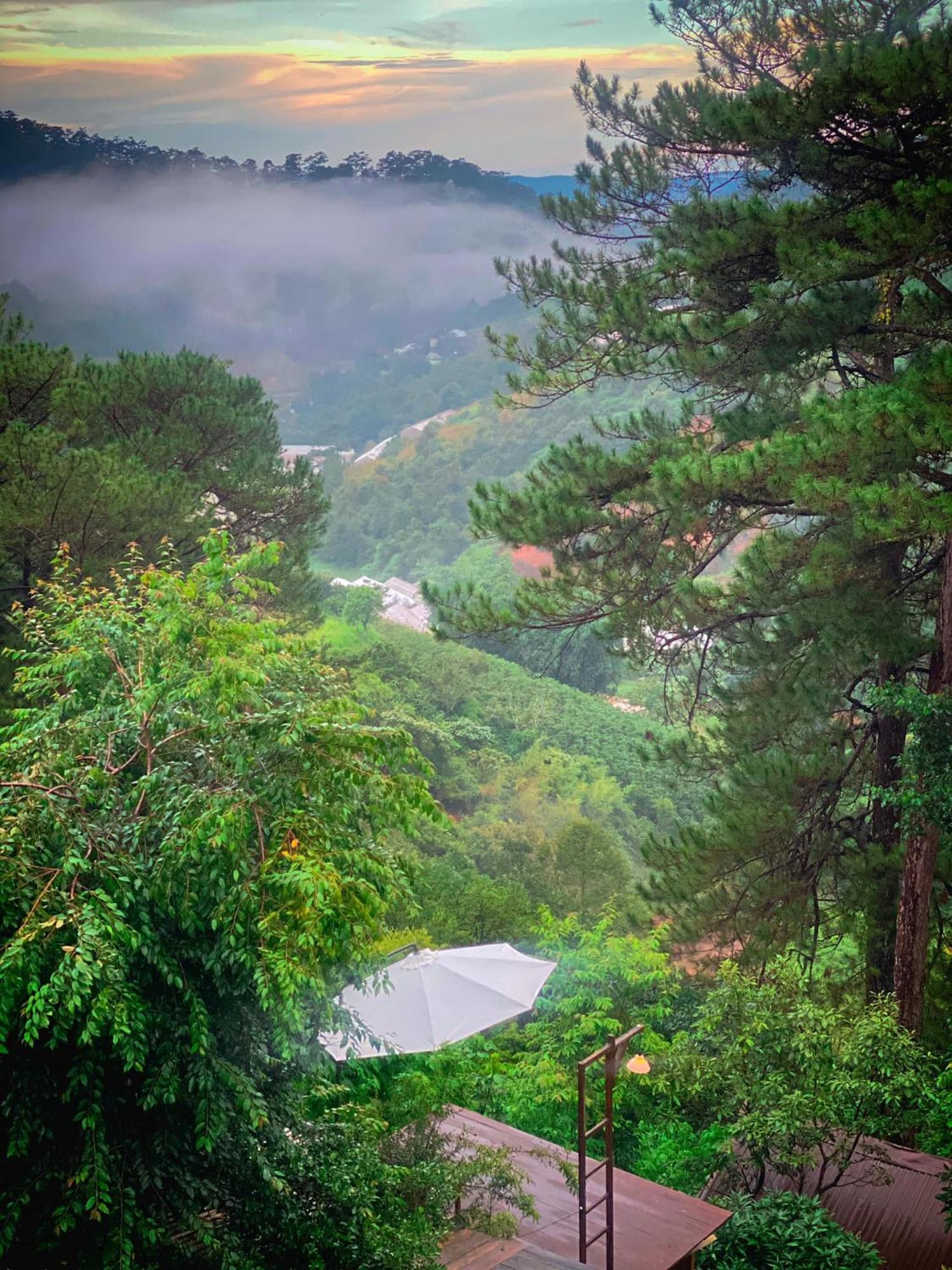Dalat Memories Homestay - Pho Suong Mo Dalat Exterior foto