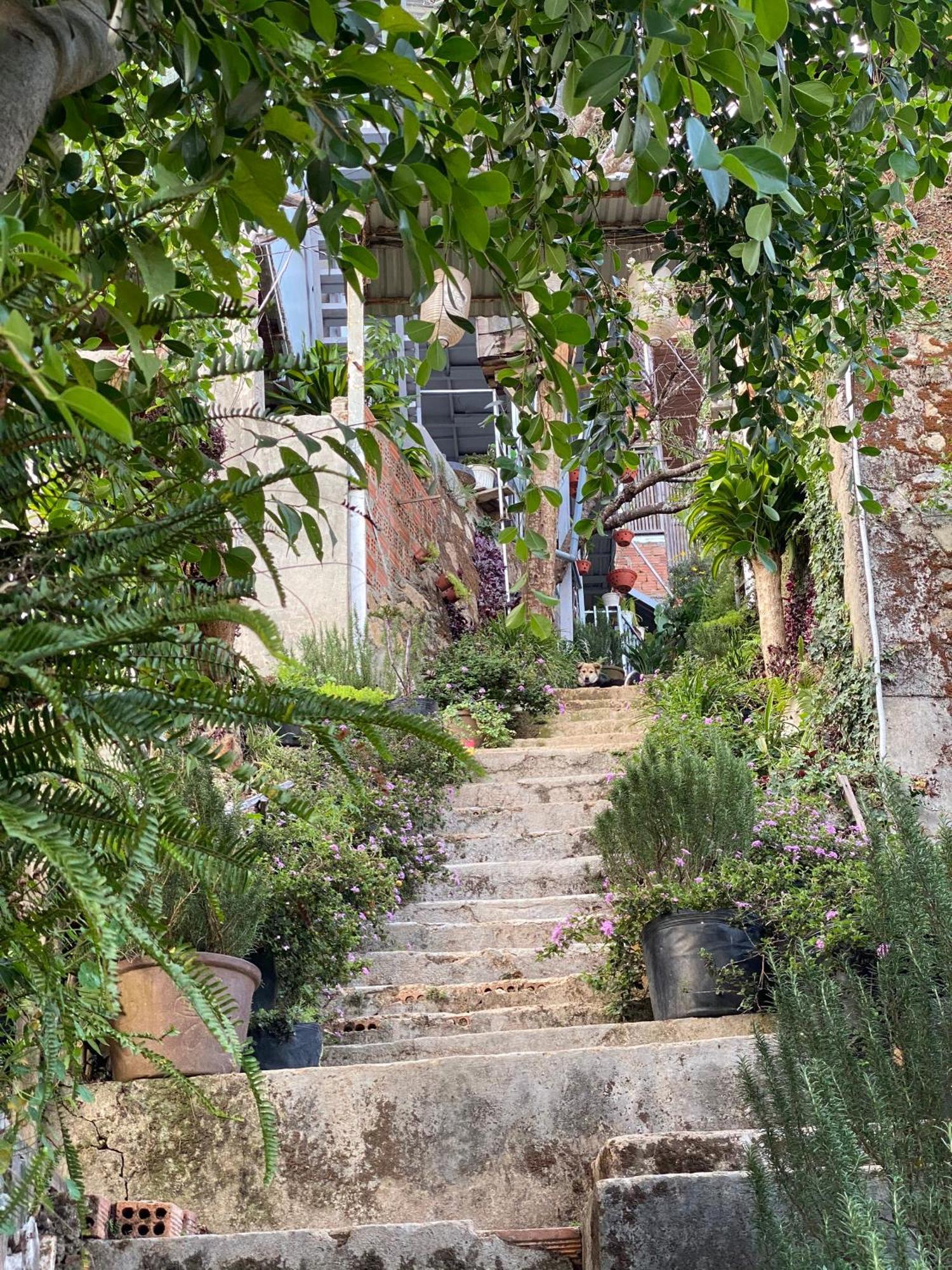 Dalat Memories Homestay - Pho Suong Mo Dalat Exterior foto