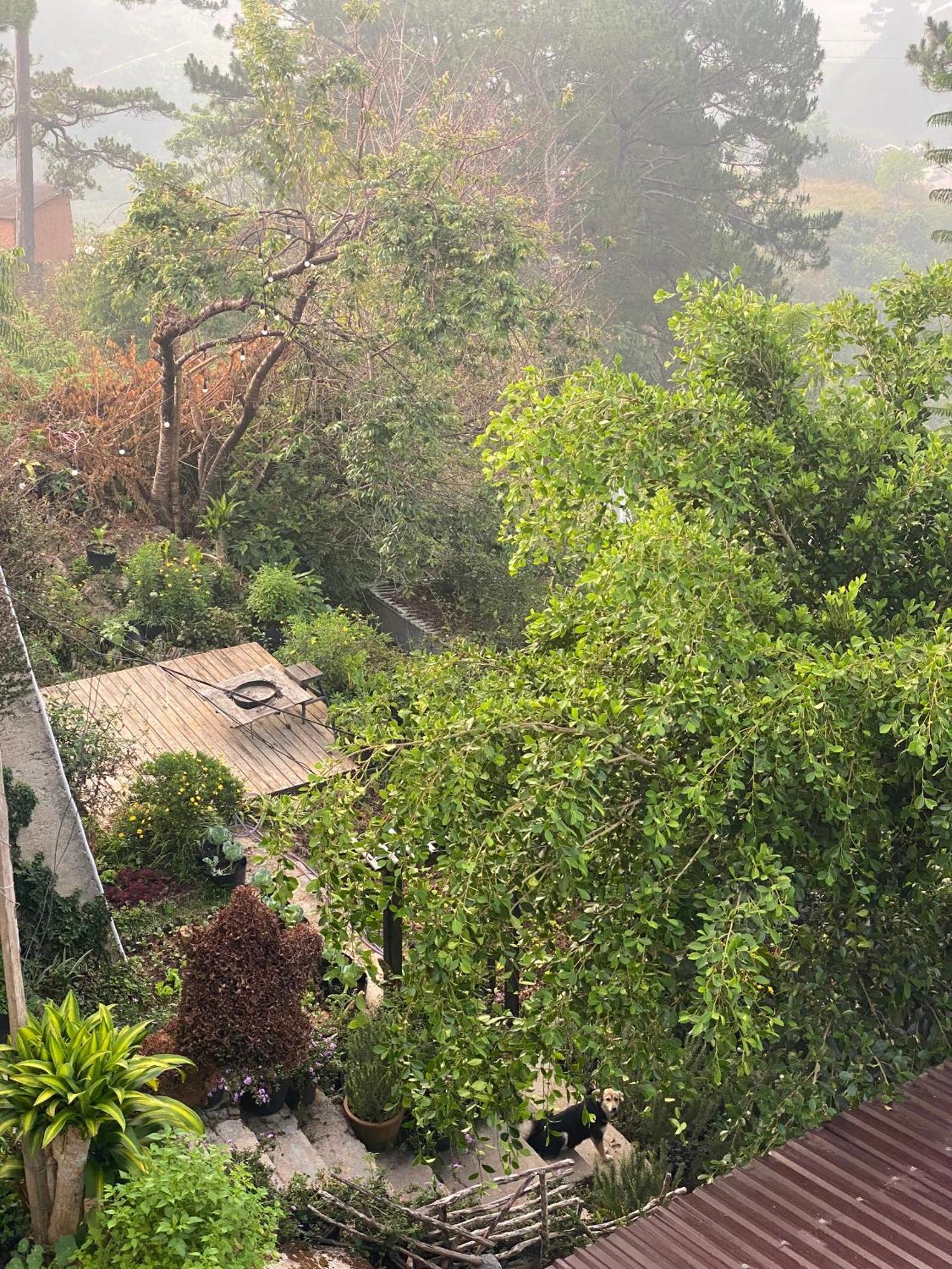 Dalat Memories Homestay - Pho Suong Mo Dalat Exterior foto