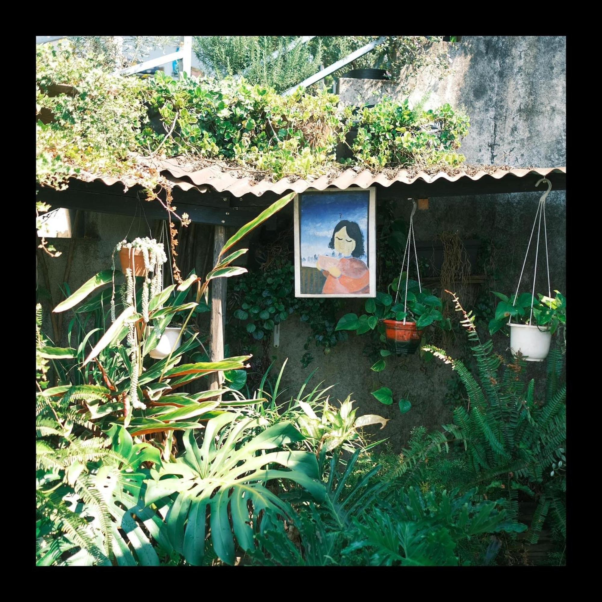 Dalat Memories Homestay - Pho Suong Mo Dalat Exterior foto