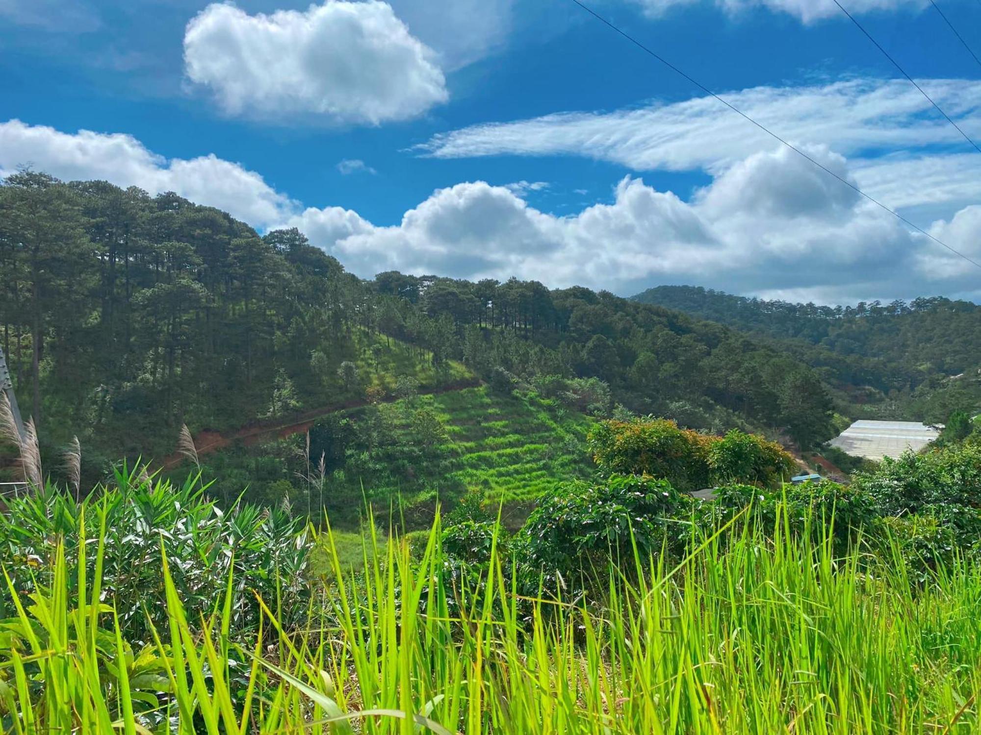 Dalat Memories Homestay - Pho Suong Mo Dalat Exterior foto